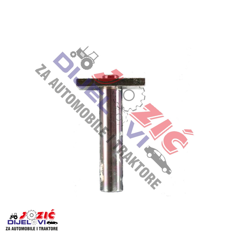 Daisy on the Ohoopee